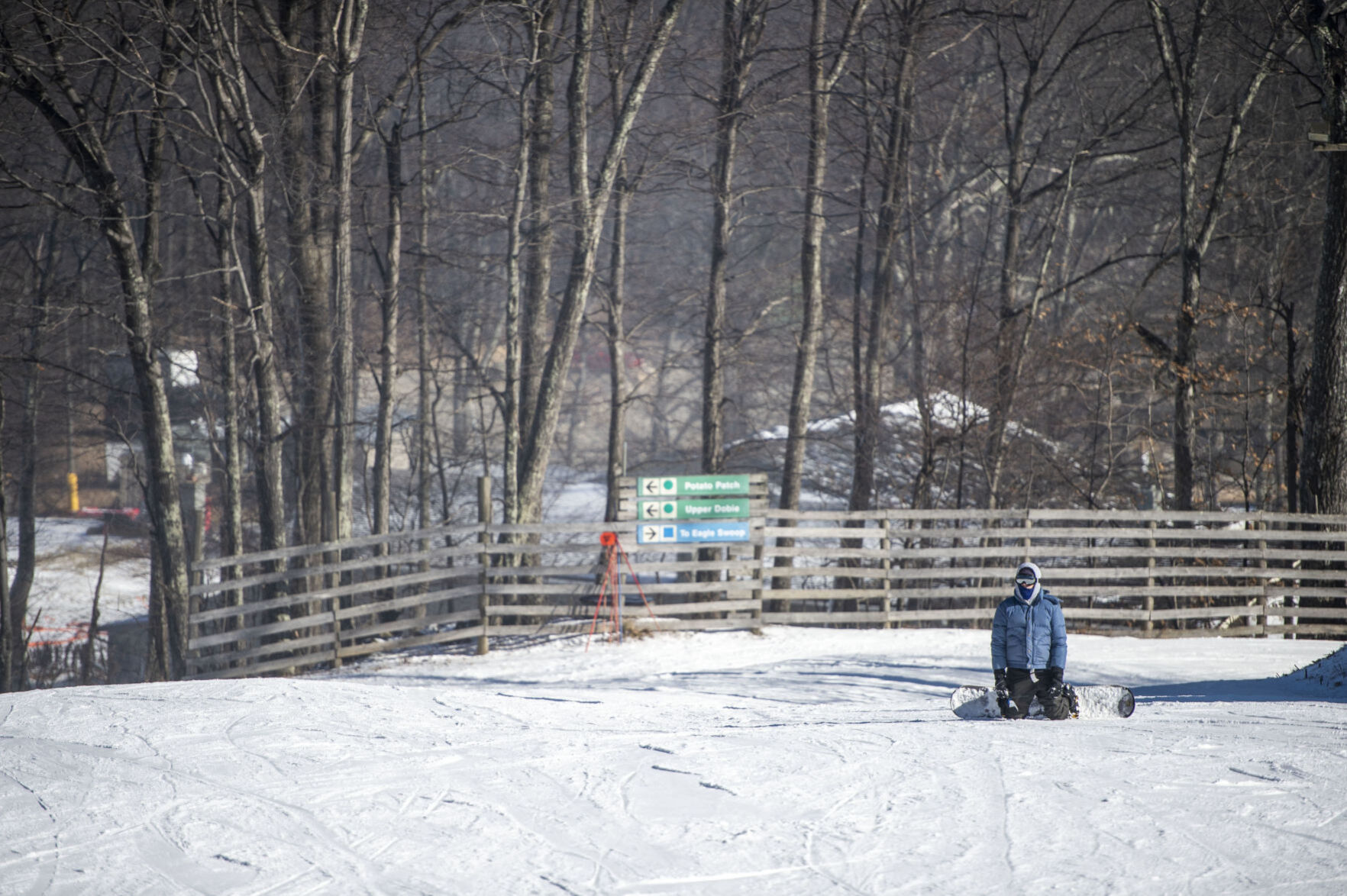 Wintergreen